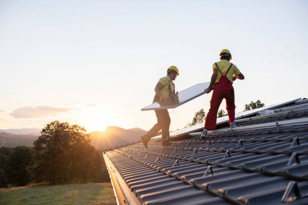 Best Roof Maintenance and Cleaning  in Mayflower, AR