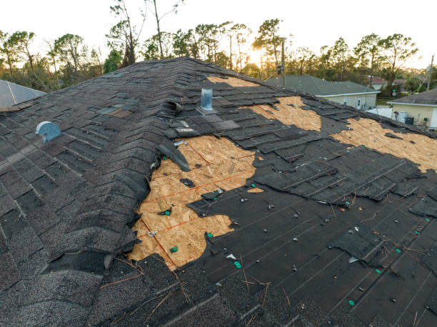 Best Tile Roofing Installation  in Mayflower, AR